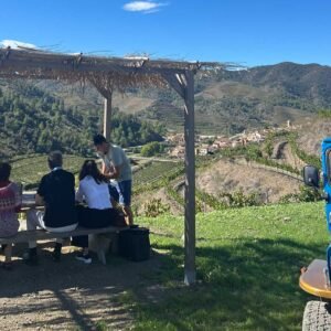 Visita + cata en el viñedo